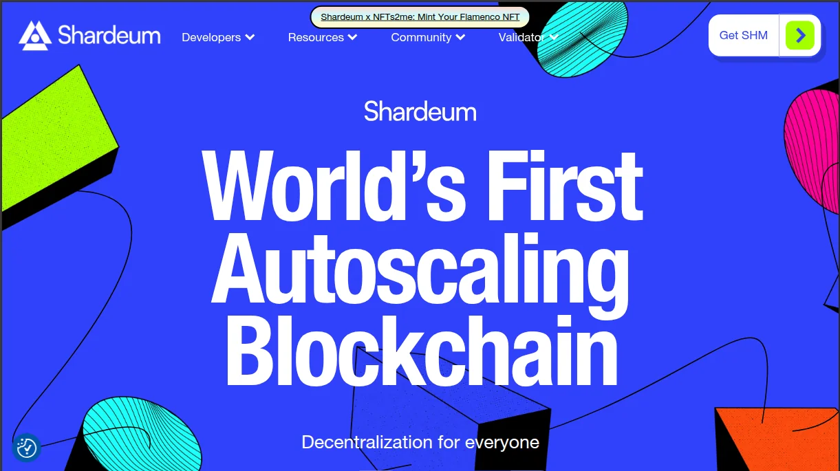 The Shardeum developer-education site